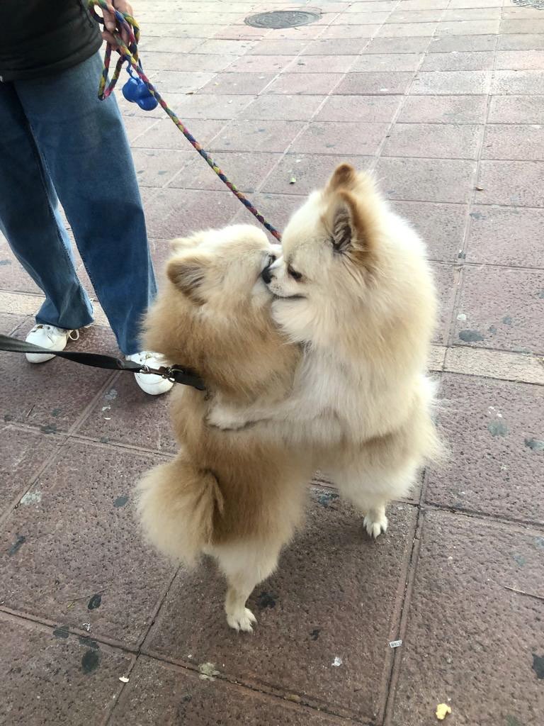 keko abrazando a su amigo en el parque es lo mejor q verás hoy🥲🥹