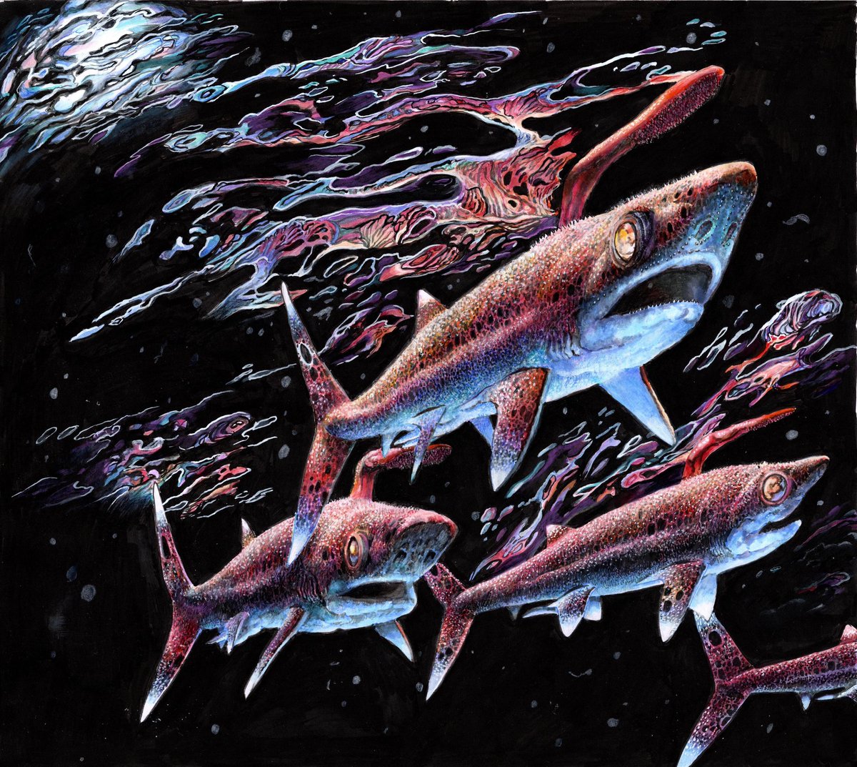 Hi there. Pleased to announce that
<a href="/mmustelus/">Charlene da Silva</a> and I are working on a new book: Prehistoric Sharks. Out in 2025 from <a href="/chiffchat/">Bloomsbury Wildlife</a> it'll feature 140 new pieces of artwork - heres the first: a nightime shoal of the sickle shark, Falcatus. Huge thanks to <a href="/JimSpim/">Jim Martin</a> for the opportunity!