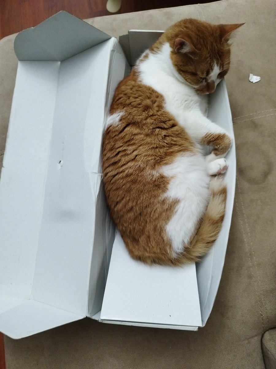 O gün bütün yataklarım kapılmış bütün tersanelerime girilmişti