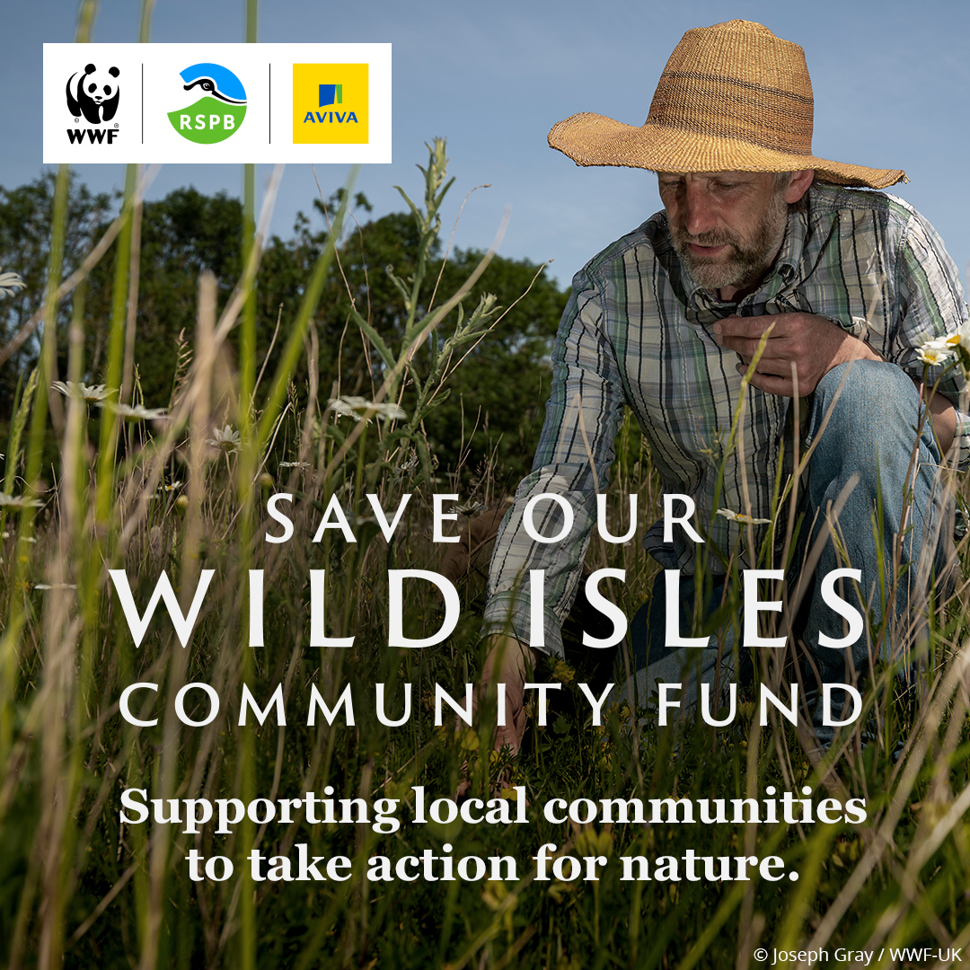 Does your community group qualify to apply for the Wild Isle Communtiy Fund 💵?

Do you have a project that you need funding for to take action to protect and restore our wild isles?

Take a look ⏬👀 bit.ly/SaveOurWildIsl… and get in touch 📧

#Community #Funding #WildIsles