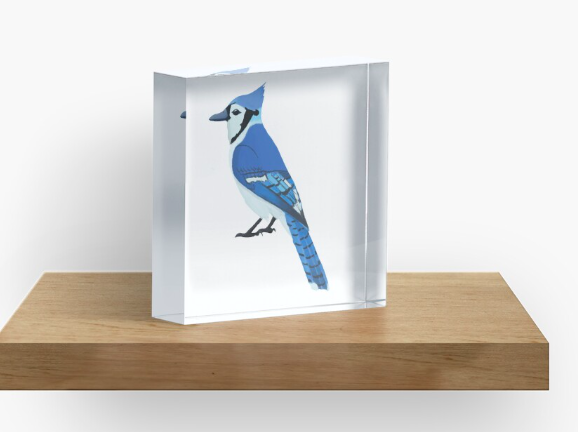 thanks to the BLUEJAY fan who bought an acrylic block!

we also have bluejays playing different sports
(and other mascots/products too)

#BuyIntoArt #BlueJays #GoBluejays #Creighton #Jays #GoJays #GoHop #JHU #JohnsHopkins #Elmhurst #Tabor #Etown #Elizabethtown #Westminster