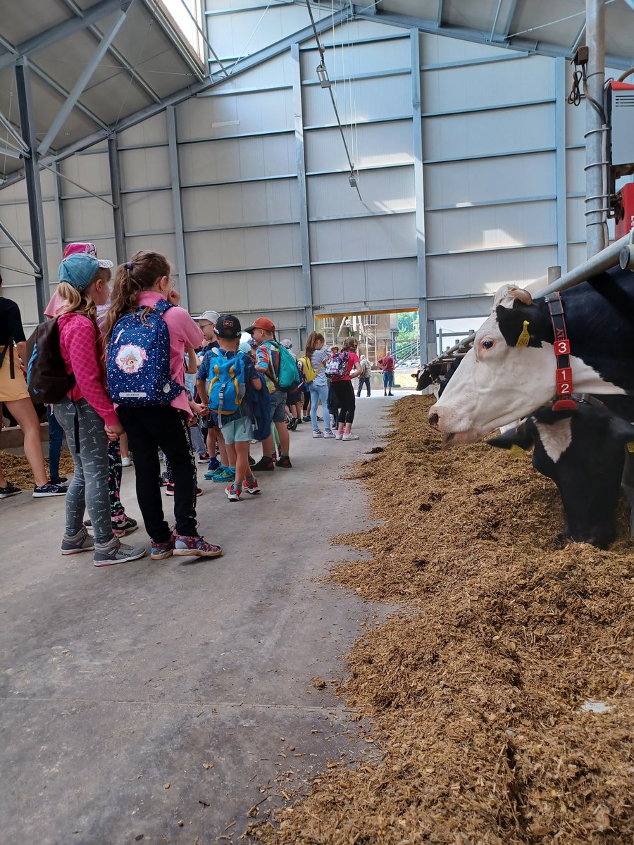 AndrzejAdryan's tweet image. Otwarcie nowej instalacji @Lely w #CzechRepublic . Focus na najmłodsze pokolenie farmerów  😀 #Lely #milkingrobot #dairy #farmers #rolnictwo