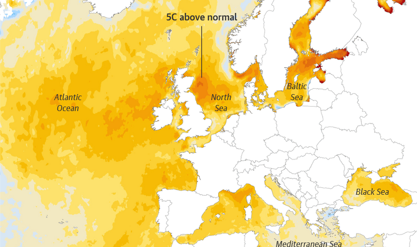 It sickens me to see how this government has wasted its entire time in office on culture wars, scapegoating and self-inflicted scandals, while, as the current extreme sea surface temperatures suggest, we are racing towards planetary tipping points.