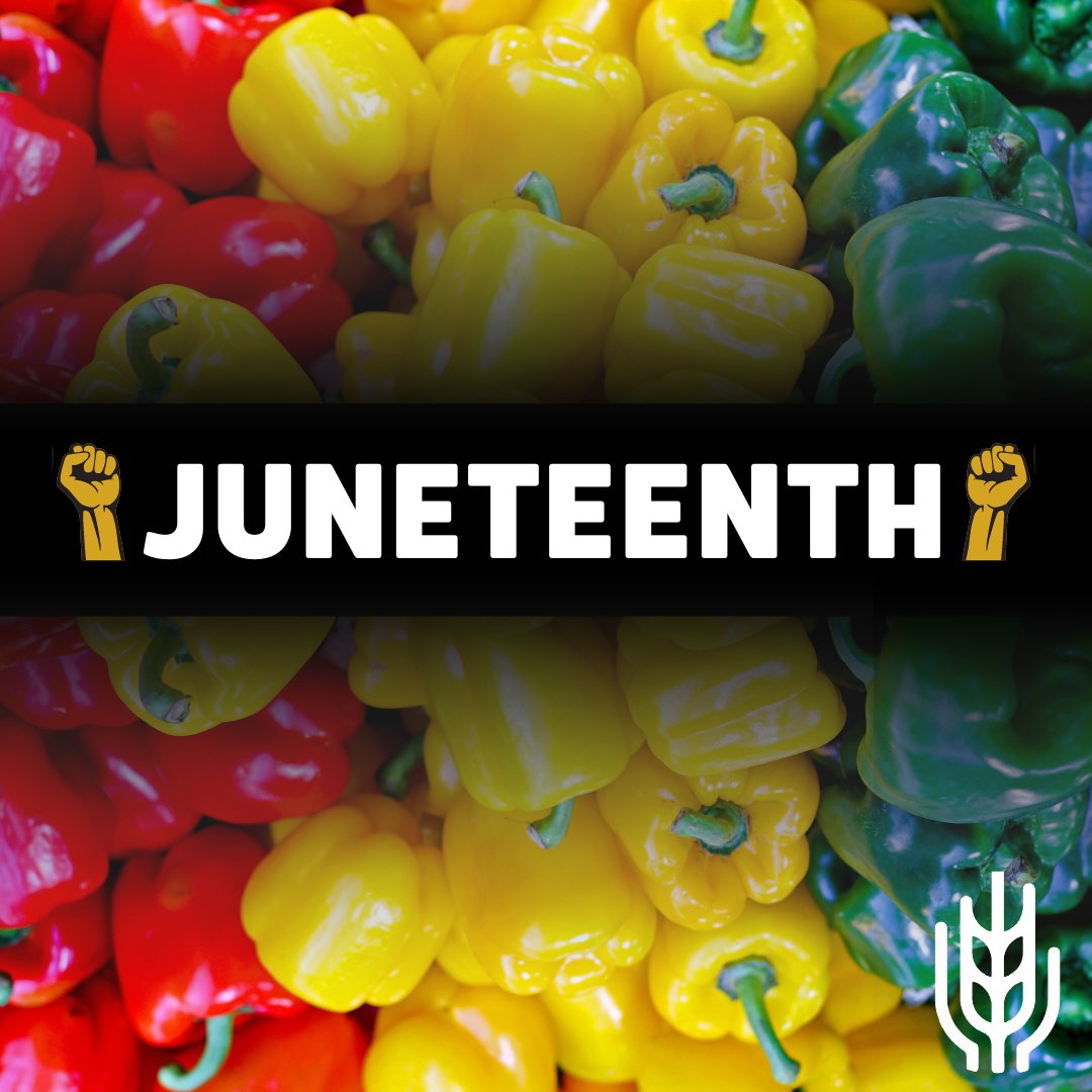 Celebrate Juneteenth with Celestial Manna! Let's do our part to see a future where everyone has equal access to nutritious food and opportunities for a better life, no matter race or background. 

#Juneteenth #FoodForAll #RacialEquity #SocialJustice