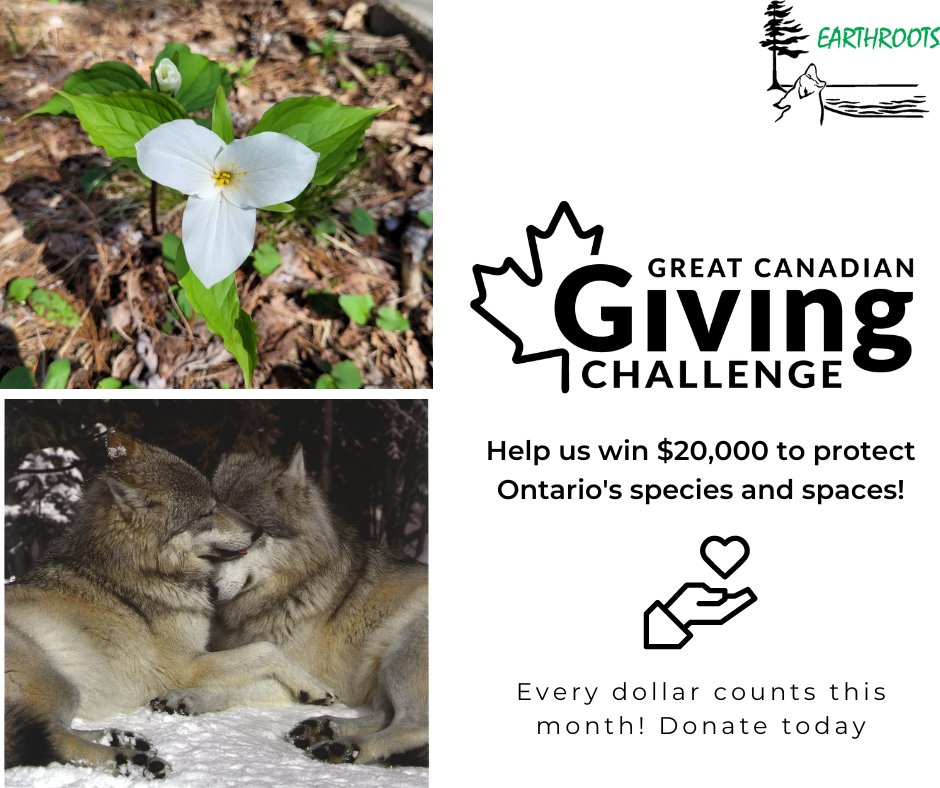 Just under 2 weeks left⌛️ Donate today to help us win $20,000 for nature with @canadahelps #GivingChallengeCA 🤝🍁 every $1 counts! 

Donate here: canadahelps.org/en/charities/e…