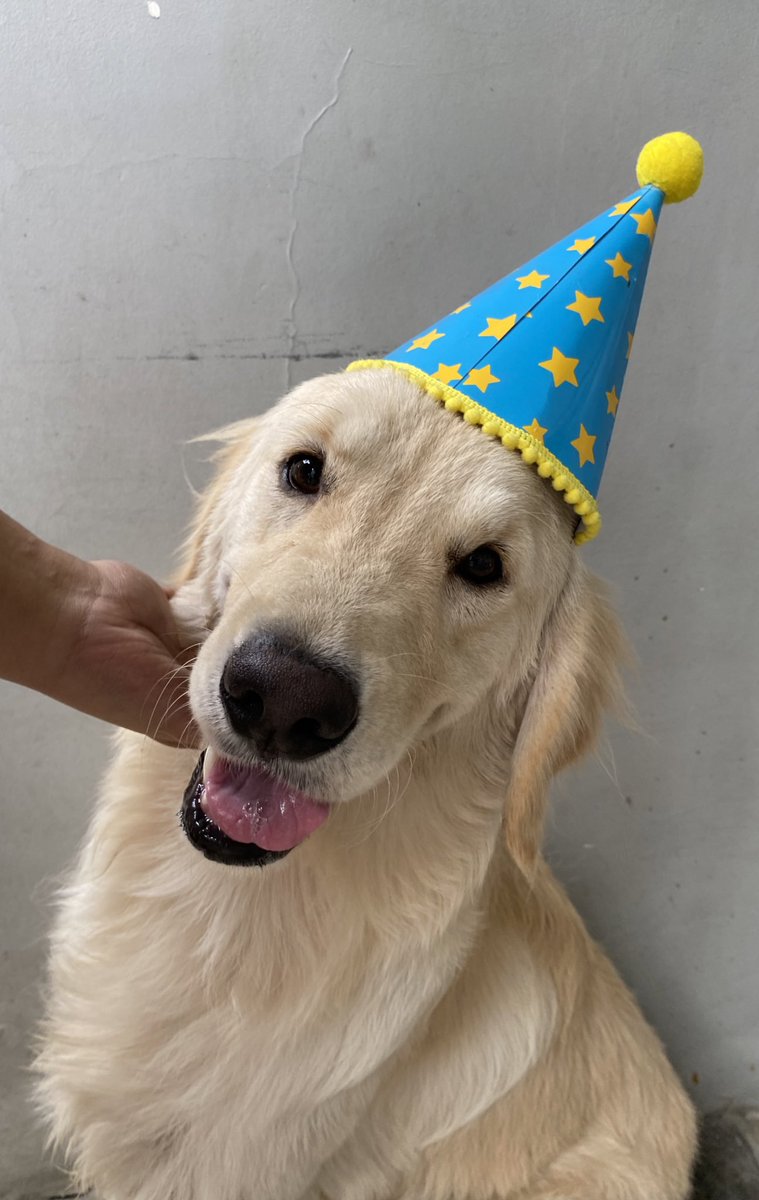 shuahonglyfans's tweet photo. happy 15k tatu’s home! skl nagbday party kami nung nakaraan! 🥳 https://t.co/zIydCbmkiv
