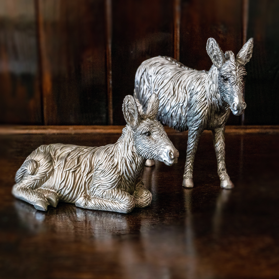 The Donkey Sanctuary on Twitter "Bring a longeared friend (or two