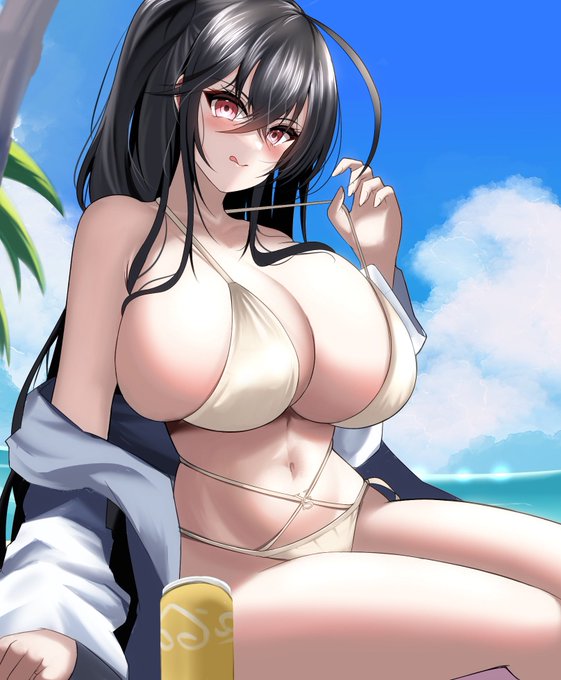 半年後はこの大鳳よりもっと上手いイラスト描けるようにする 