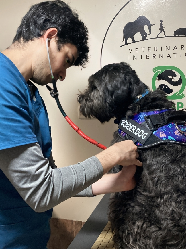vetintl's tweet photo. Esperanza, a remarkable #dog, became a beacon of hope at the VI-GAAP clinic. Despite facing difficulty, she found an unexpected guardian angel in a person experiencing homelessness.
Help us build #veterinarycapacity so we can help more #pets like Esperanza. https://t.co/t4FFGF9zuw