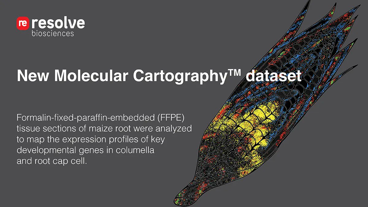 Resolve Biosciences tweet media