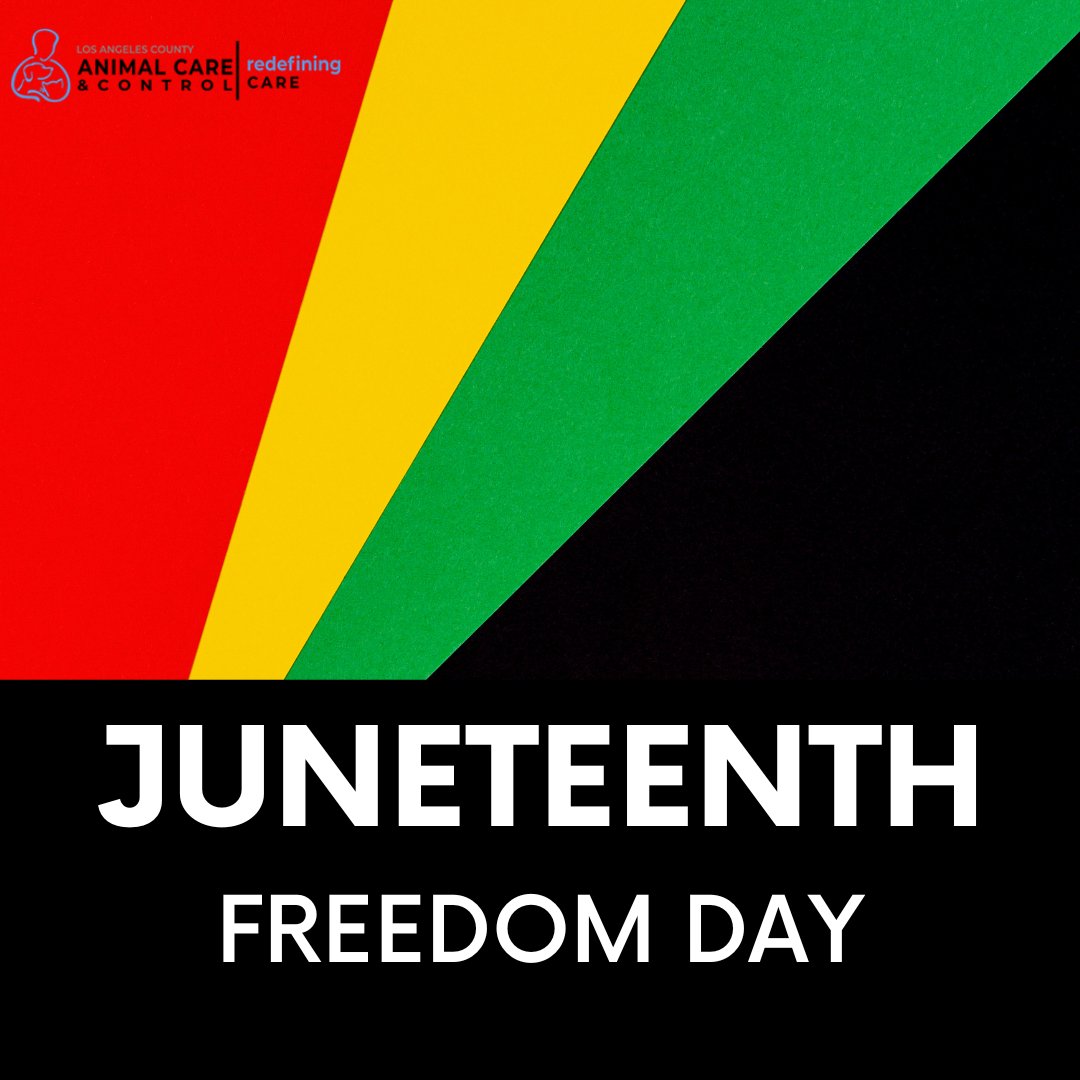 Happy Juneteenth ✊🏾 🖤 Today and every day, LA County DACC will continue to strive to advance racial equity, both within our workforce and throughout the communities we serve.
