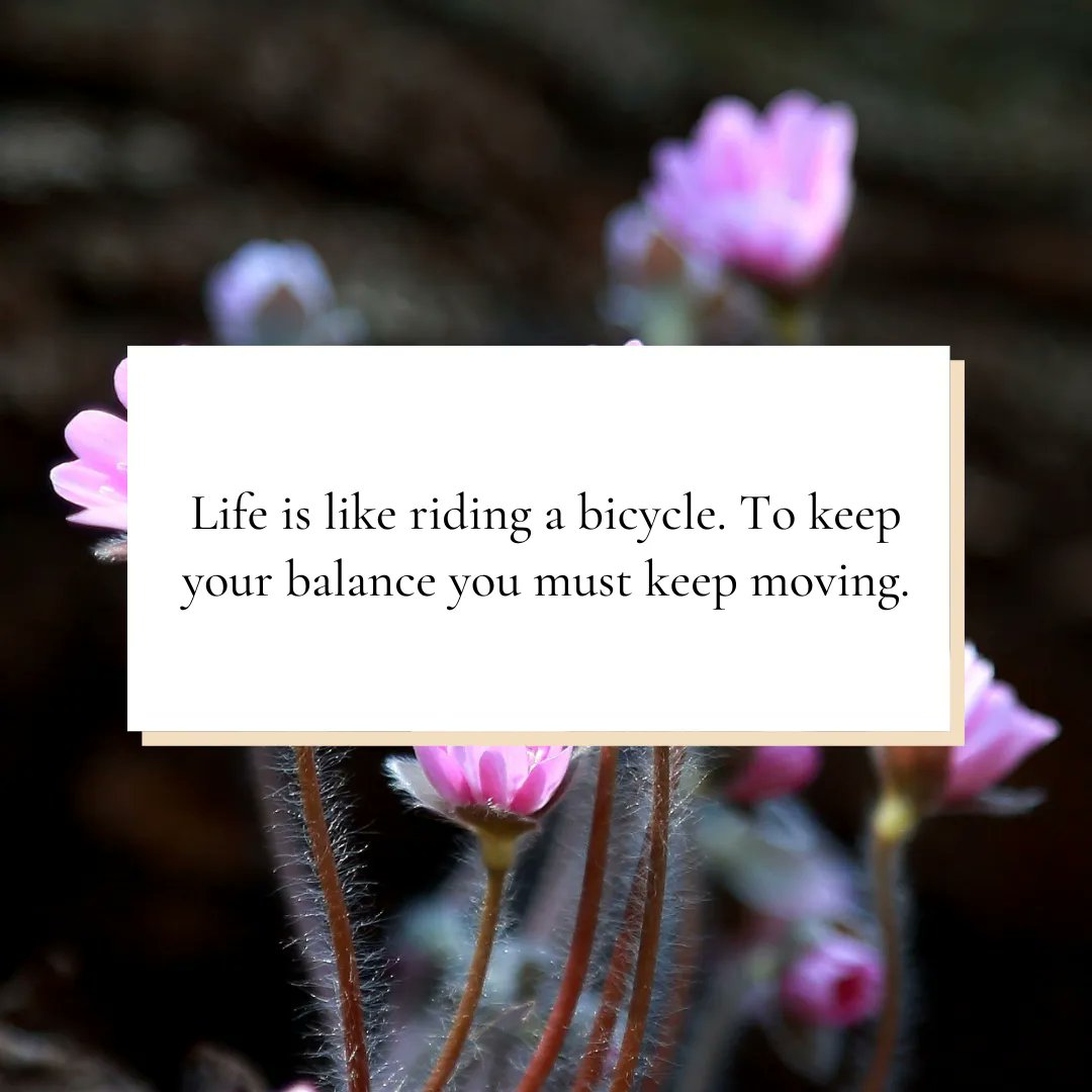 Life is like riding a bicycle. Just as we pedal forward, we navigate the twists and turns that greet us along the way. Embrace the challenges, find your rhythm, and keep moving, through motion we will uncover the true beauty of life's remarkable ride.💓
#KeepMovingForward