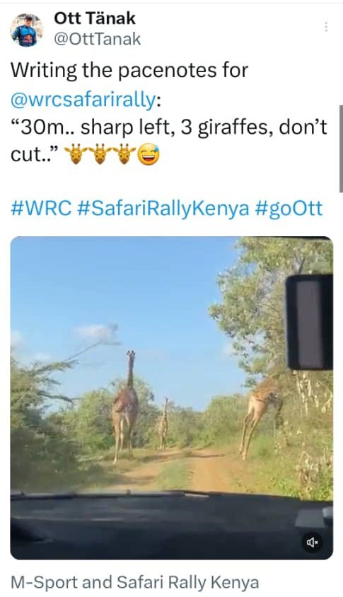 Brilliant! 😎

#SafariRallyKenya #WRC #goOtt #seanknows