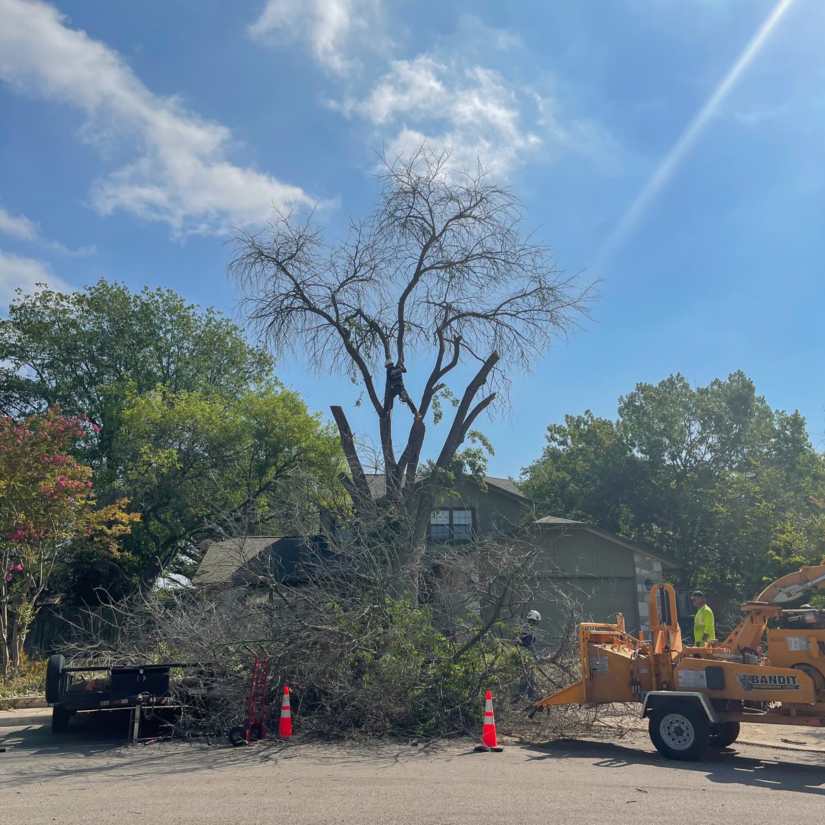 Our skilled arborists are hard at work, transforming this towering beauty into a perfectly trimmed masterpiece. 🏡🌳✨

#RepublicTreeService #TreeTrimming #TreeService #TreePruning #SanAntonio #SATX #Arborist