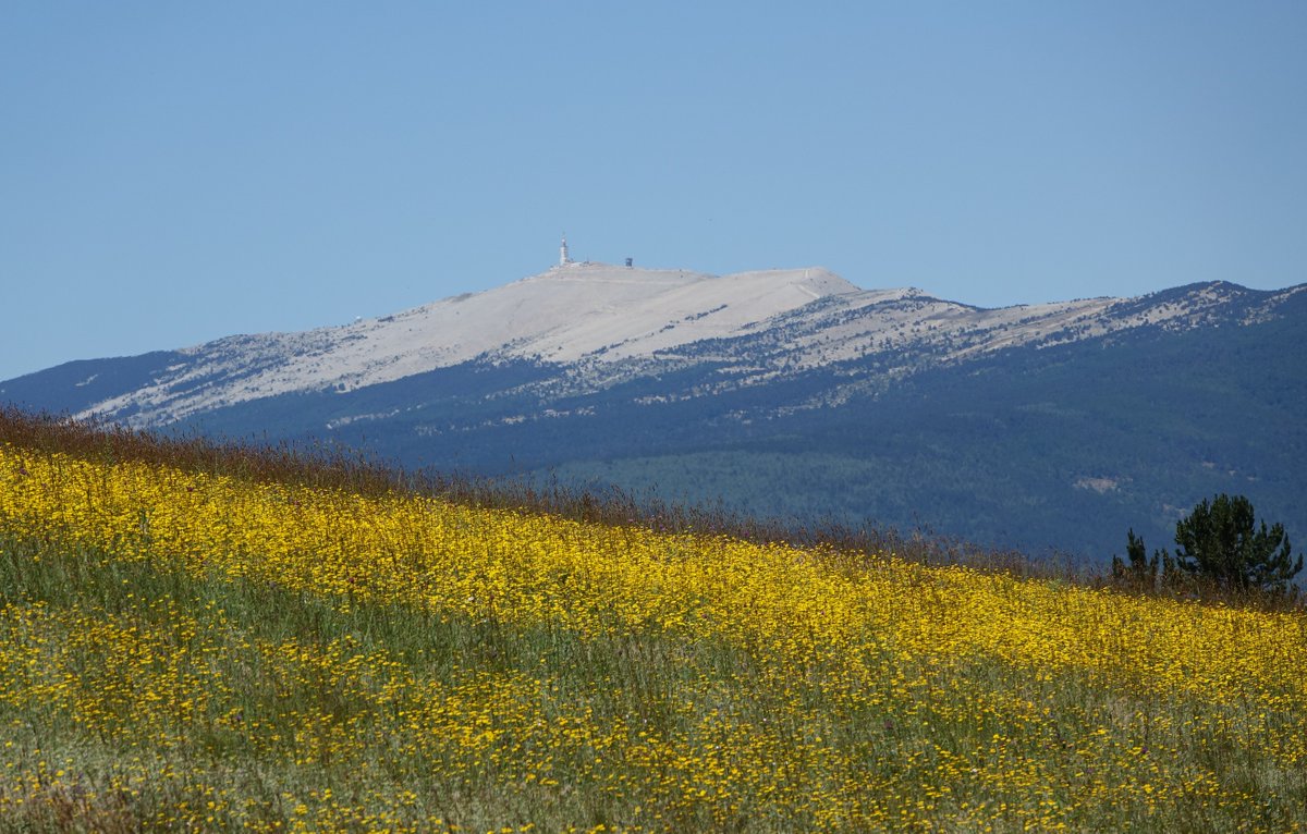 Bonne semaine les amis d' @ccifrance @ceserfrance  @FestivalAvignon @festOffAvignon @Matmut @LautreFestival  @MacifAssurances  @PianoLaRoque   ess-france.org  @CRESS_sud @CRESSCorsica  depuis     @VentouxProvence  @MaRegionSud / @hubertizac