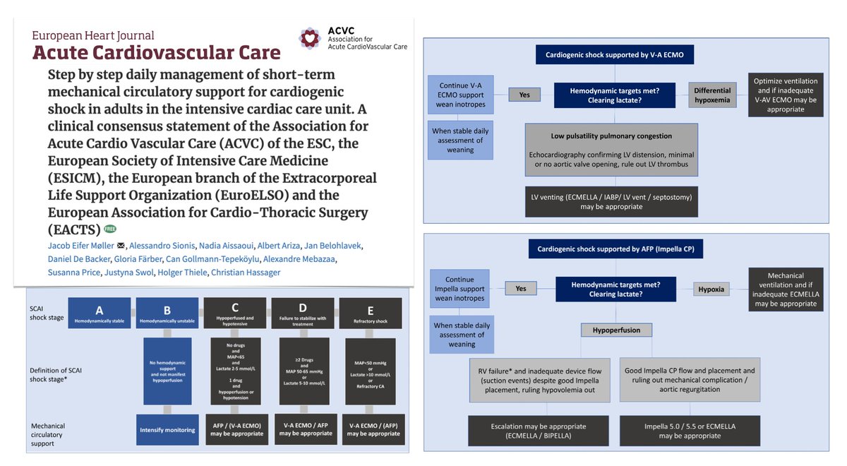FOAMecmo's tweet photo. Management of short-term #MCS for cardiogenic shock in adults in cardiac #ICU, consensus by ACVC of @escardio @ESICM @EuroELSO & @EACTS 
🔓Open #FOAMcc at https://t.co/PuCpYJ797x
🚦 indications
🫀 cannulation for VA #ECMO & implantation of axial flow pump
🖥️ monitoring
💉 pharmacological therapy
🫀 RV support & right/ left ventricular interaction
🫁 respiratory failure
🫘 renal failure &
🧠 neurological prognostication
⚙️ practical management of pVAD patient: what to expect...
   during the first 24 hours
   after first 24 hours & up 72 hours
   after 72 hours
   weaning
⚙️complications & troubleshooting