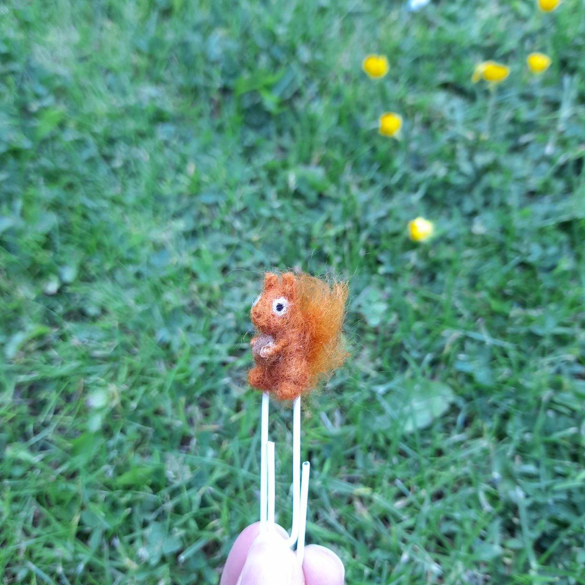 Tiny Squirrel pagemarker. 

I keep wondering how small I can make something...i think this probably it 😂 

#fafferoffluff #redsquirrel #bookmark #pagemarker #bookworms #bookwormsunite #shropshire #miniaturemaker #consciouscrafties #talentbeyondchallenges #smallbusinessbigdreams
