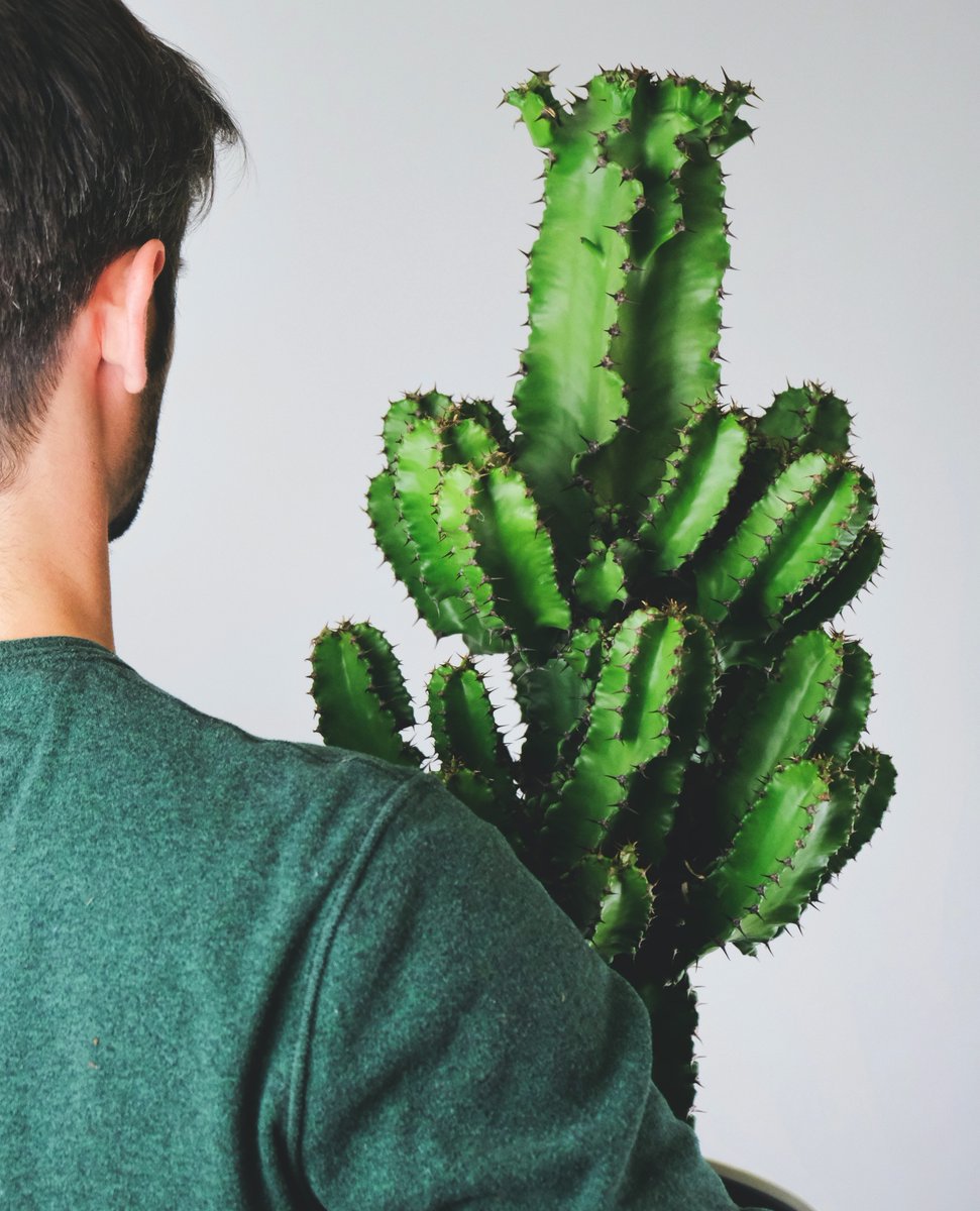 Cactus Cancer Society tweet media