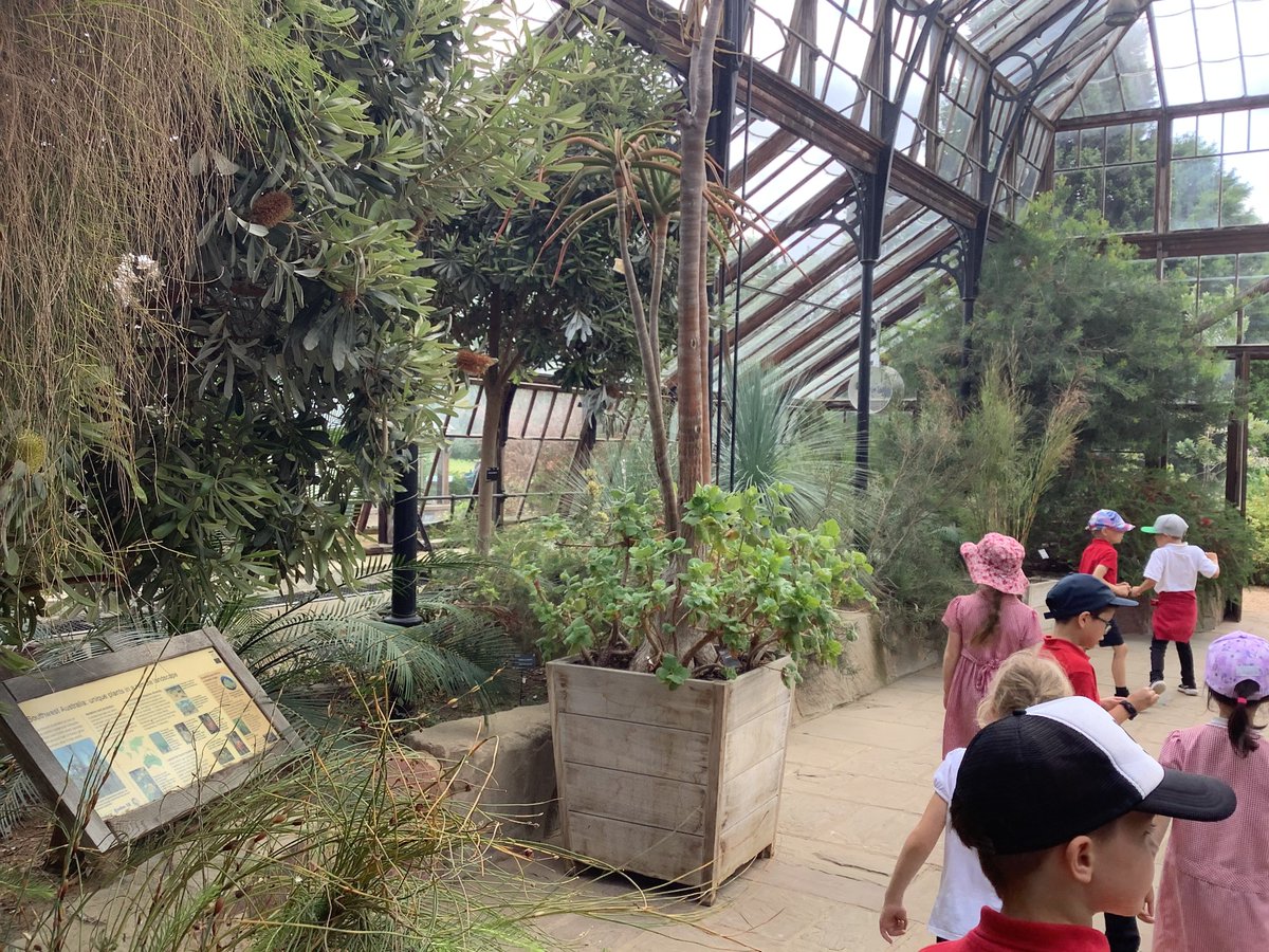 Y2 have had a fantastic, sunny day
@CUBotanicGarden
They looked at deciduous and evergreen trees, searched for minibeasts and looked at different places plants like to live in the greenhouse. What a great science day out! Enjoy some photos!