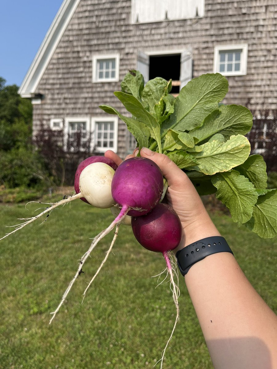 amanda• tweet media