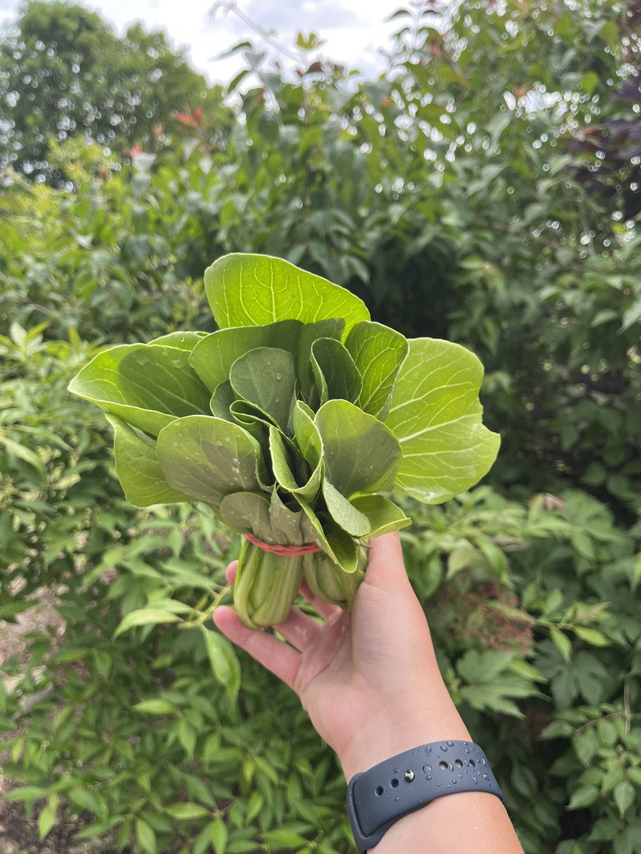 amanda• tweet media