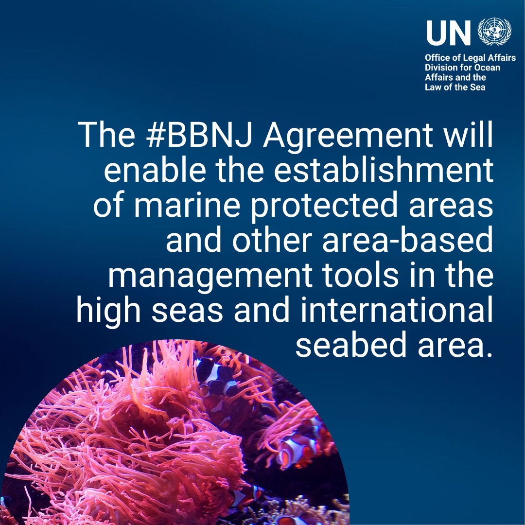 Division for Ocean Affairs and the Law of the Sea tweet media