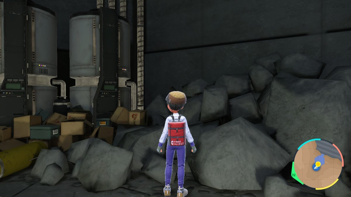 Tyler the Pokémon coordinator🎀 tweet media