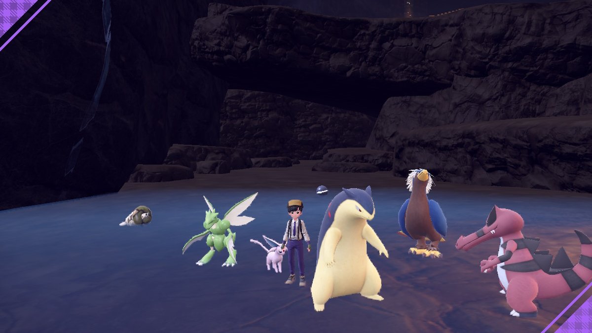 Tyler the Pokémon coordinator🎀 tweet media