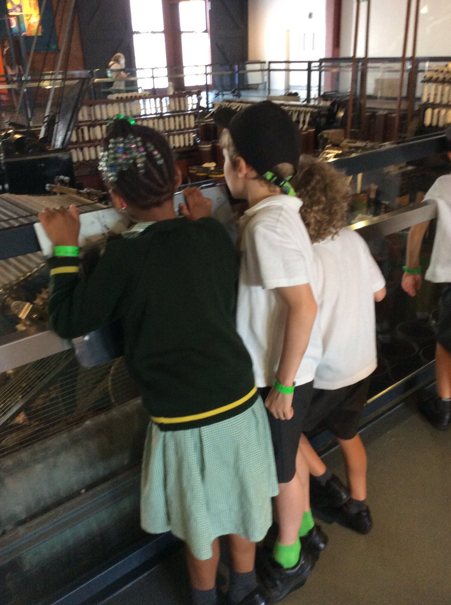 Year 1- Mrs Williams tweet media