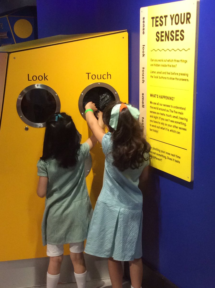 Year 1- Mrs Williams tweet media