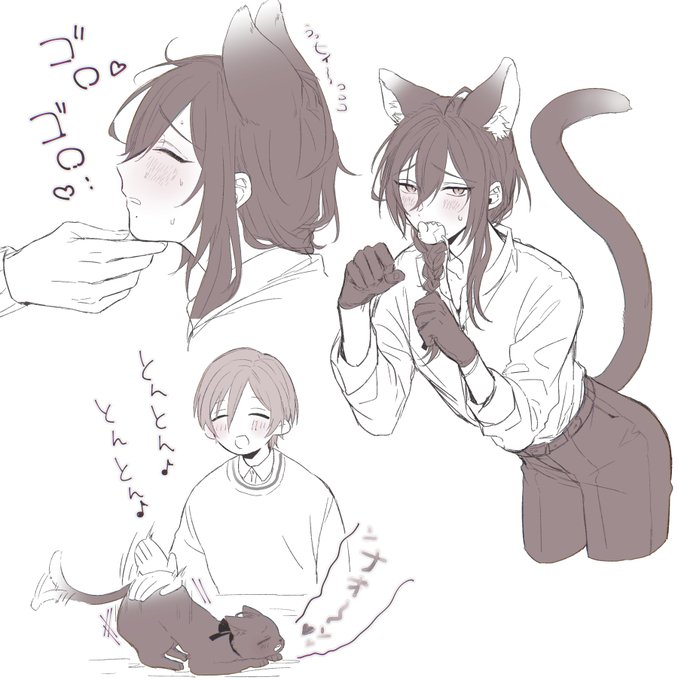 🐱マヨィ