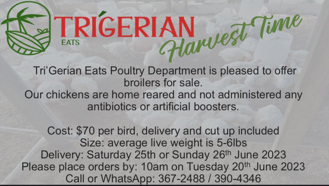 TriEats's tweet photo. Exciting announcement! 
🐓🐓🐓🐓
We have been expanding and are now pleased to offer you chickens for your pot. 
Let us help save you money and time by delivering to you, fresh and quality meat at an affordable price. 
#TriGerianEats #TriGerianPoultry #ValueForYourMoney https://t.co/yFeEqyhFVE