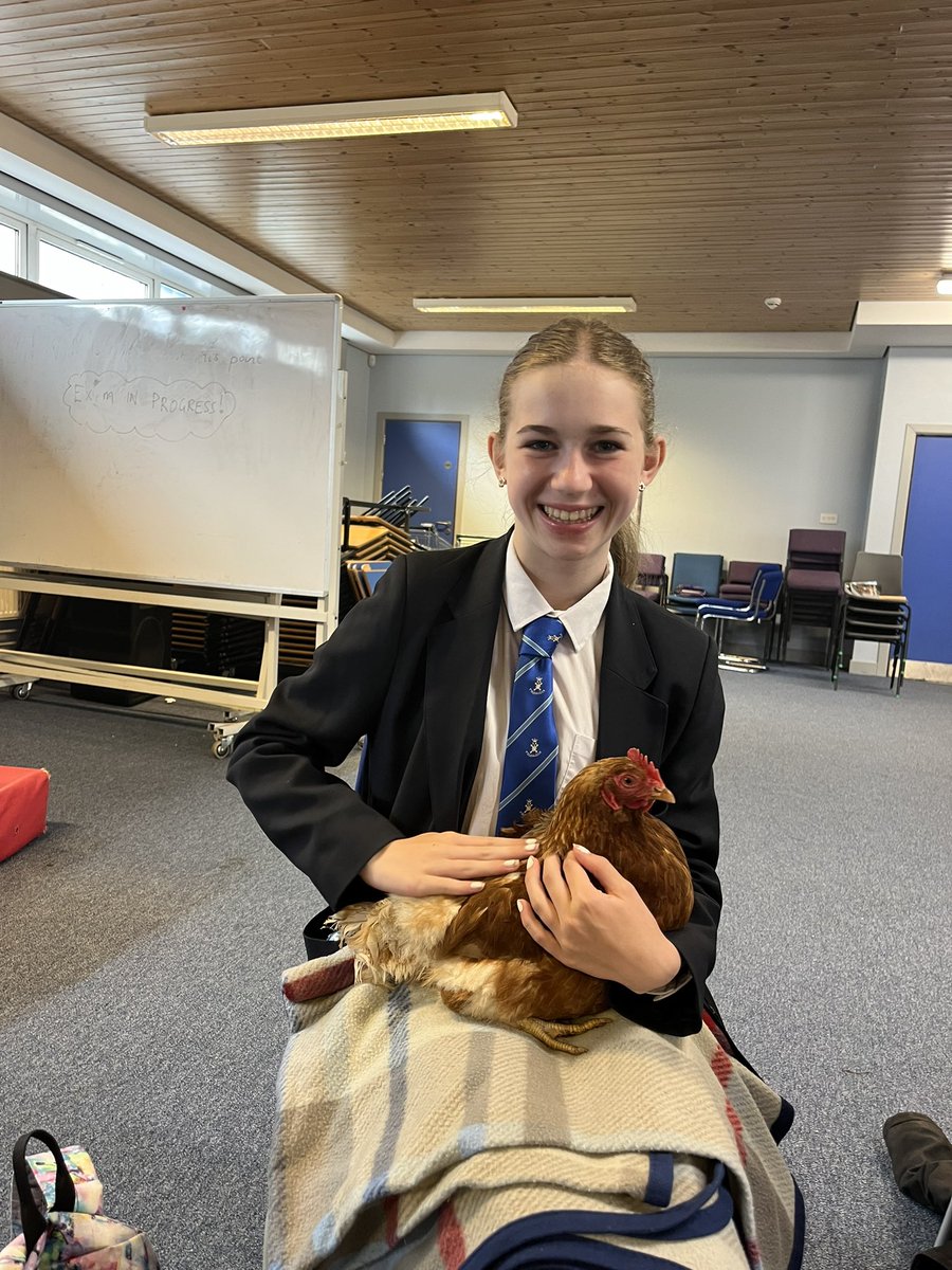 RenicksMiss's tweet photo. Thank you to @Animal___Man for visiting today during activities day in @StAndrewsRCSec. Pupils (and staff) absolutely loved getting to pet and learn all about the different animals. 🦎🐓🕷️ https://t.co/JiDupJvMe0