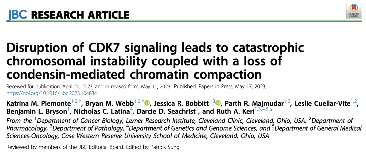 CatherineWangMD's tweet photo. My brilliant BFF @KatrinaPiemonte just published in @jbiolchem 🤩 check out her amazing work on how disruption in CDK7 signaling leads to CATASTROPHIC chromosomal instability 🧪🧫 #WomenInSTEM #MedTwitter https://t.co/DfeOyeuFHa