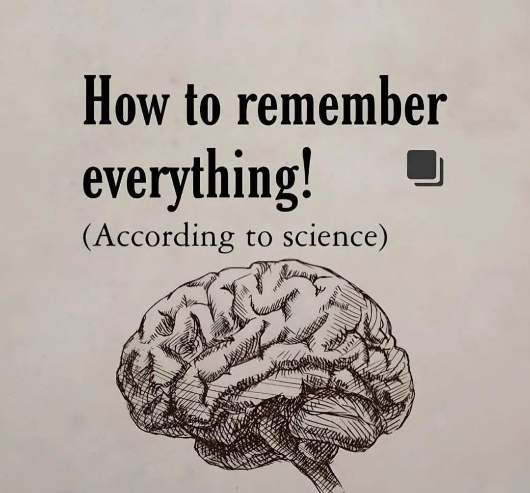 HOW TO REMEMBER EVERYTHING