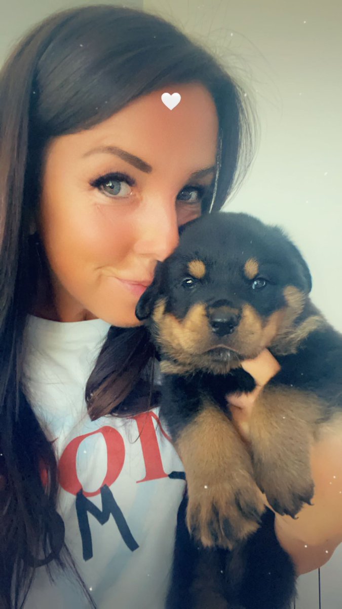 tashfenlon's tweet photo. Love is a four legged word 🐾🥰 Can’t wait to bring Baby Denzel home next week 🥹💙 https://t.co/7xbCTdo518