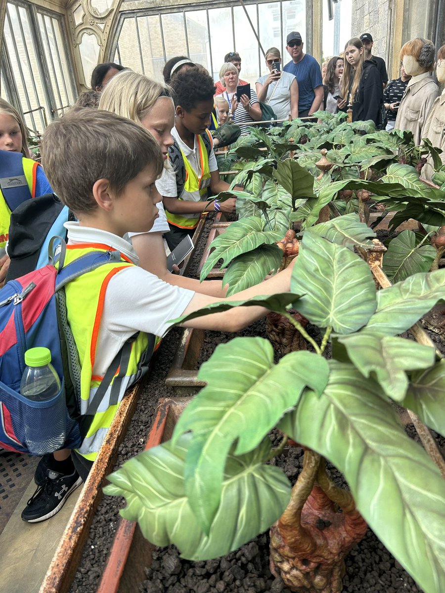 latimerprimary's tweet image. More of #ClassSM and #ClassEH’s Harry Potter Studios adventures…