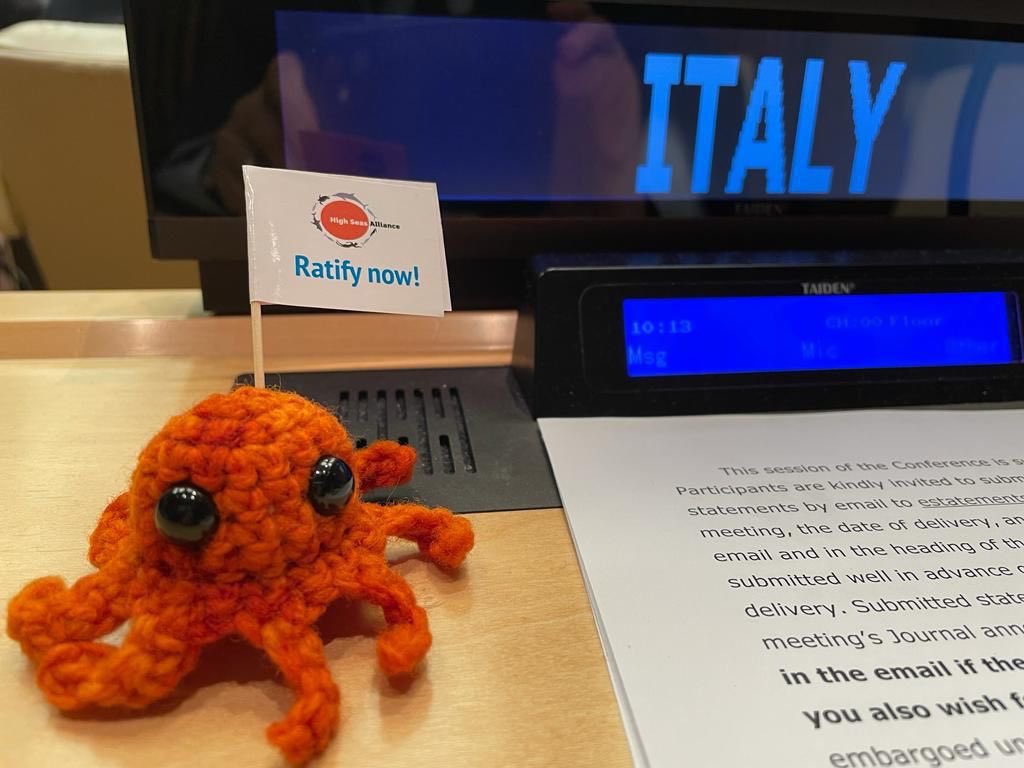 🚨Adopted historic 🇺🇳#BBNJ agreement on the conservation & sustainable use of marine #biodiversity.

🇮🇹 fully supports this treaty, a milestone in the promotion of rule-of-law-based governance on #oceans, & calls for its swift ratification, key to achieve the 30 by 30 goal.