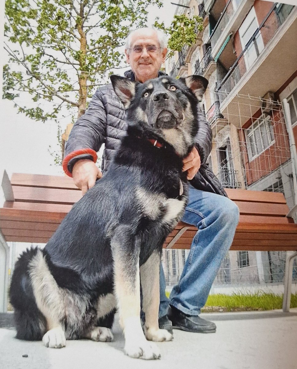 RamonRojo10's tweet photo. Adeu Leo. No as pugut superar la infermetat. Et trobem a faltar🐶💔 https://t.co/2mCvX0T955