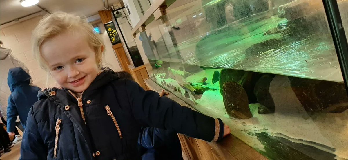 Aston Hall Junior and Infant School tweet media