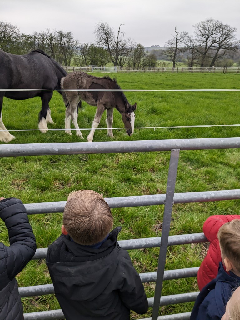 Aston Hall Junior and Infant School tweet media