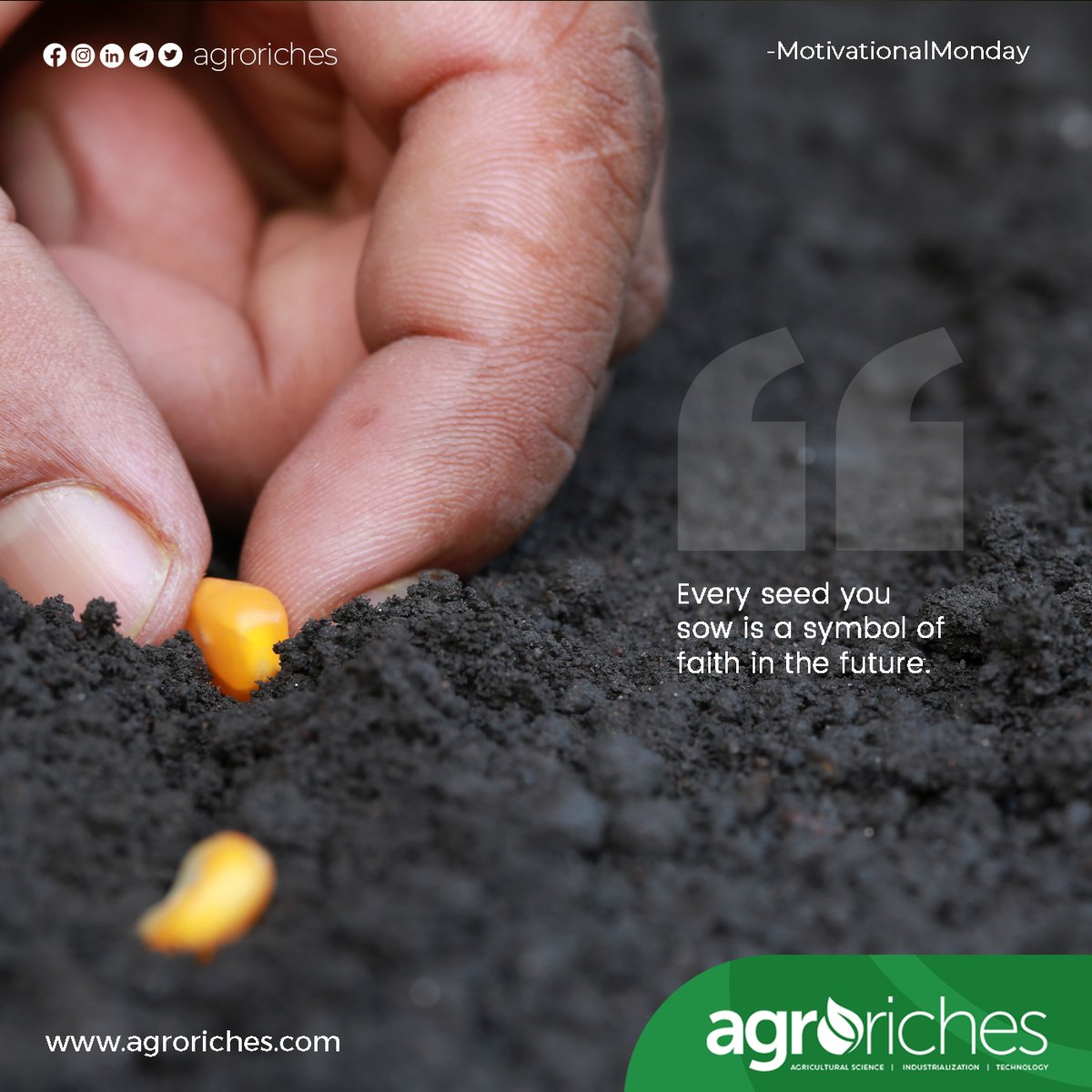 Seeds are the foundation of agriculture and play a crucial role in the success of farmers.

#expertise #motivationalmonday #monday #newweek #freshstart #agriculture #farm #startup #agroriches #inspiration #success #neverstoplearning #expertinprogress #motivation