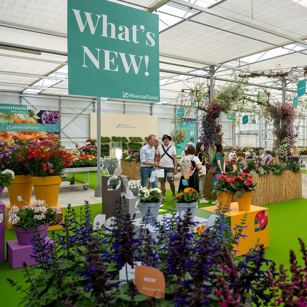 FlowerTrials 2023 is over! We already miss working in this marvelous environment and are looking back on a fantastic week of flourishing meetings with our esteemed visitors.

Thank you all for visiting and see you at #FlowerTrials 2024!