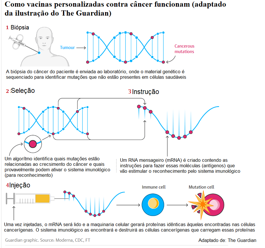 O que essas duas vacinas em desenvolvimento (ou seja, ainda tem um chão pela frente até a gente tê-las como terapias aprovadas para câncer) tem em comum?

Elas treinam o sistema imunológico do indivíduo para reconhecer E atacar as células cancerígenas do indivíduo!