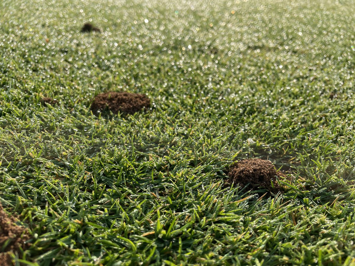 Adam Moeller tweet media