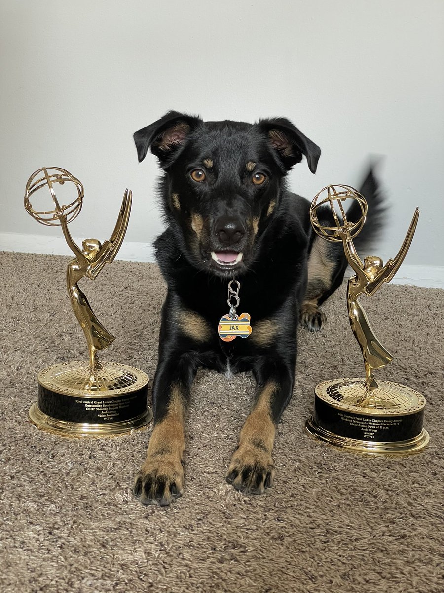 Only stopping by this app to update my pinned tweet and say Jax is honored to receive his second Emmy for Outstanding Achievement in Squirrel Chasing.