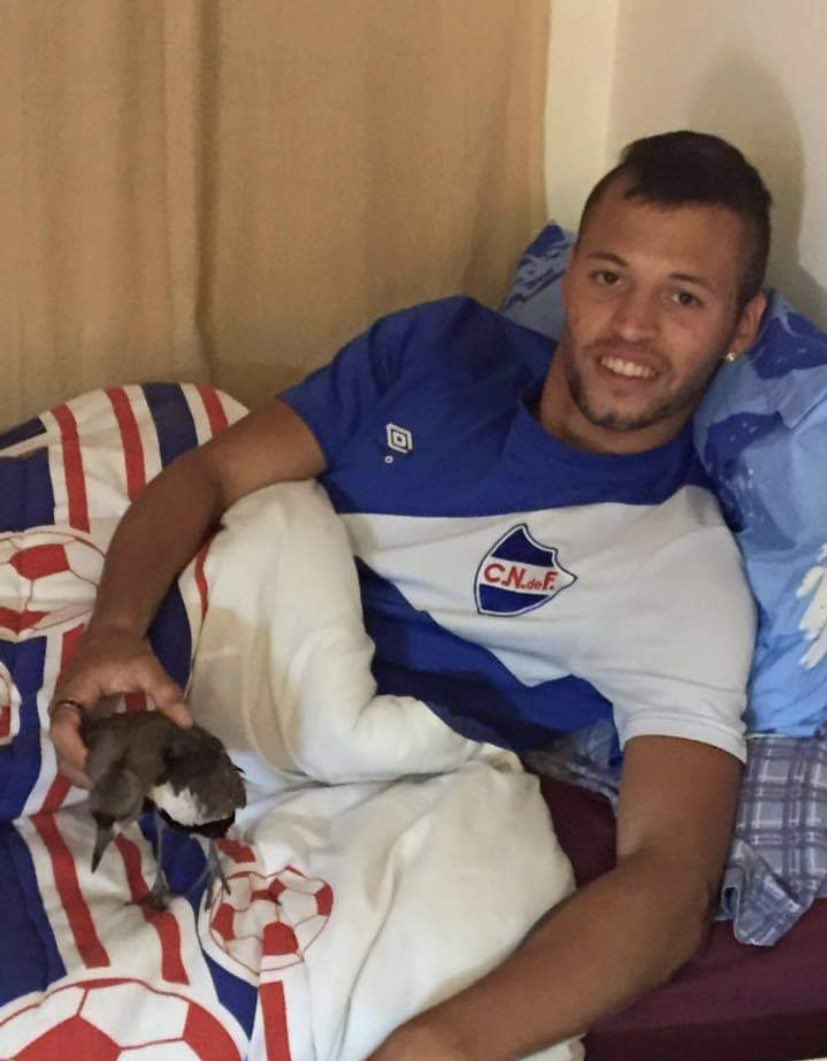 Arranca la Manija Tricolor  🔵⚪🔴
#DienteLopezANacional 
#NicoLopezANacional