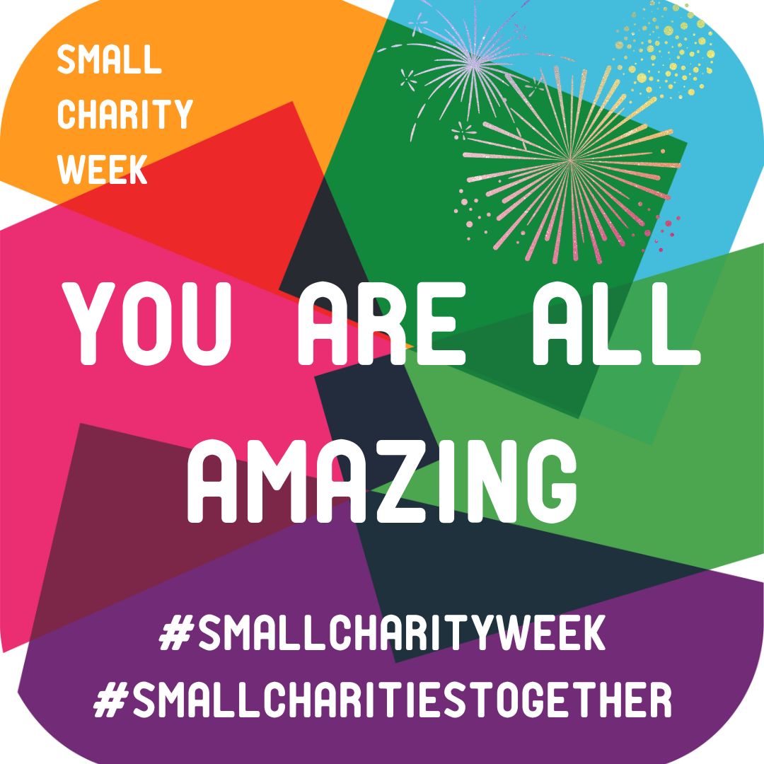 WOW, what a first day. Amazing speakers, super interaction in all our sessions and......we've been trending on Twitter all day - an incredible start to the week. We cannot wait to see you tomorrow - we're off for a lie down 😂 #SmallCharityWeek #SmallCharitiesTogether