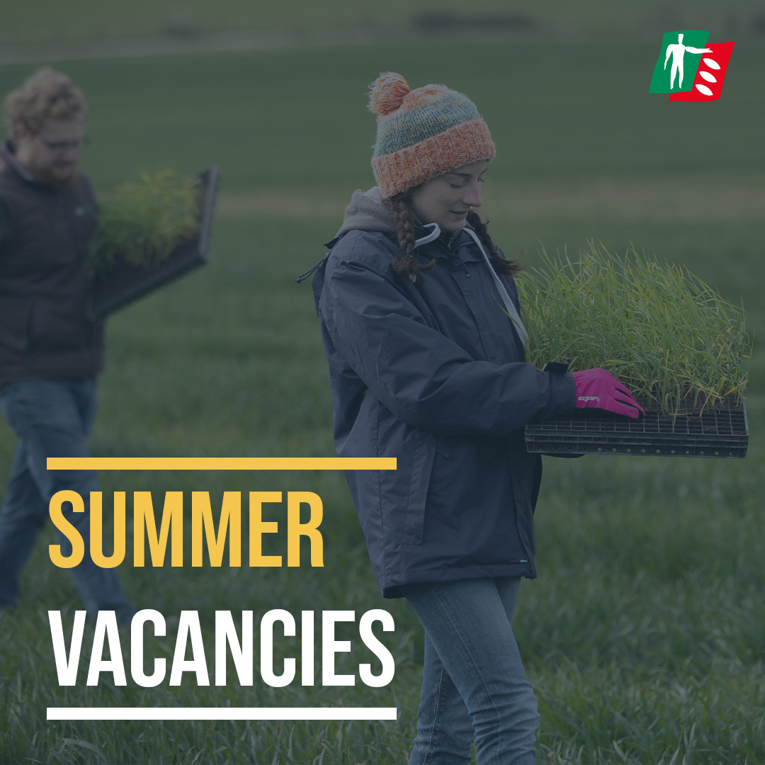 ❗SUMMER VACANCIES❗

We have vacancies at our Ickleton site, near Cambridge in our Wheat, Farm and Seeds Supply departments, with contracts ranging from 5 weeks to 12 weeks. 

Find out more on our website here: bit.ly/RAGT_Careers

#thinksolutionsthinkragt #hiring #jobsearch