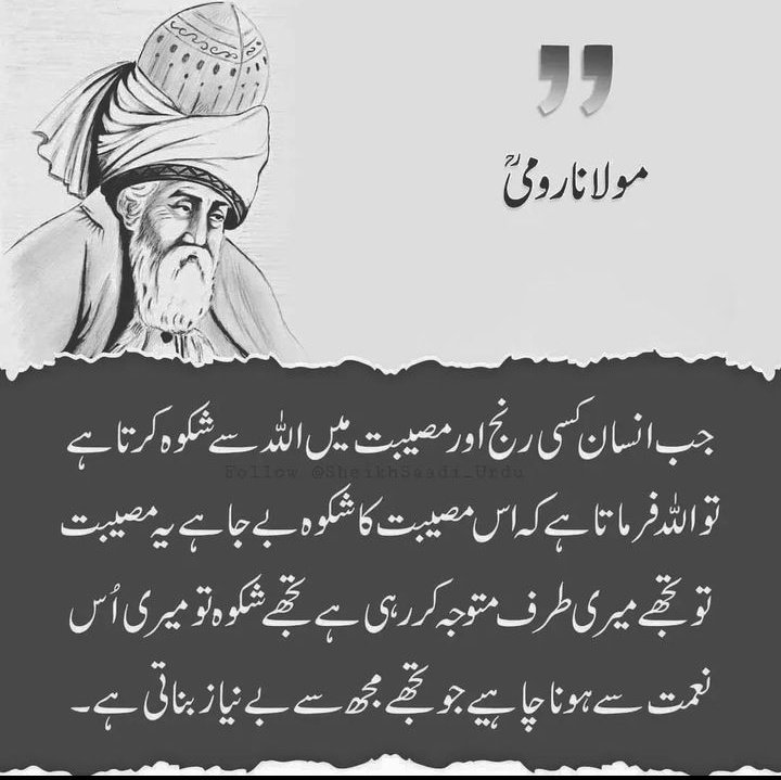 Saba Maher tweet media